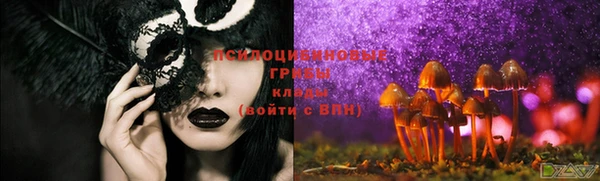 apvp Киреевск