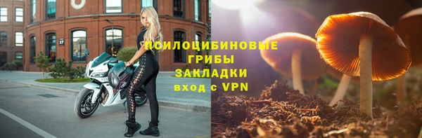 apvp Киреевск