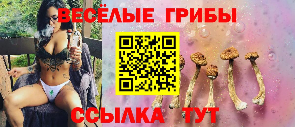 Псилоцибиновые грибы ЛСД Кемерово