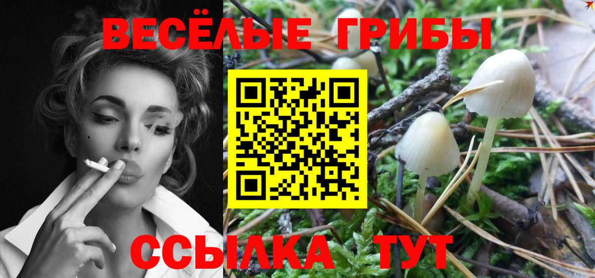 Галлюциногенные грибы мицелий  Вход с VPN  где продают наркотики  Кемерово 